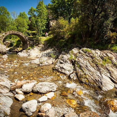 Transgardon B&B En Cevennes Saint-Privat-de-Vallongue Ngoại thất bức ảnh