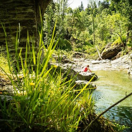 Transgardon B&B En Cevennes Saint-Privat-de-Vallongue Ngoại thất bức ảnh