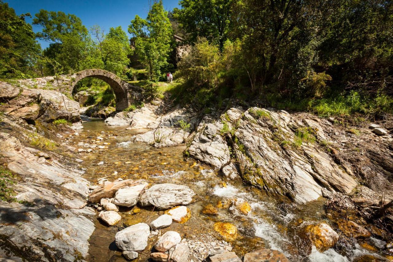 Transgardon B&B En Cevennes Saint-Privat-de-Vallongue Ngoại thất bức ảnh