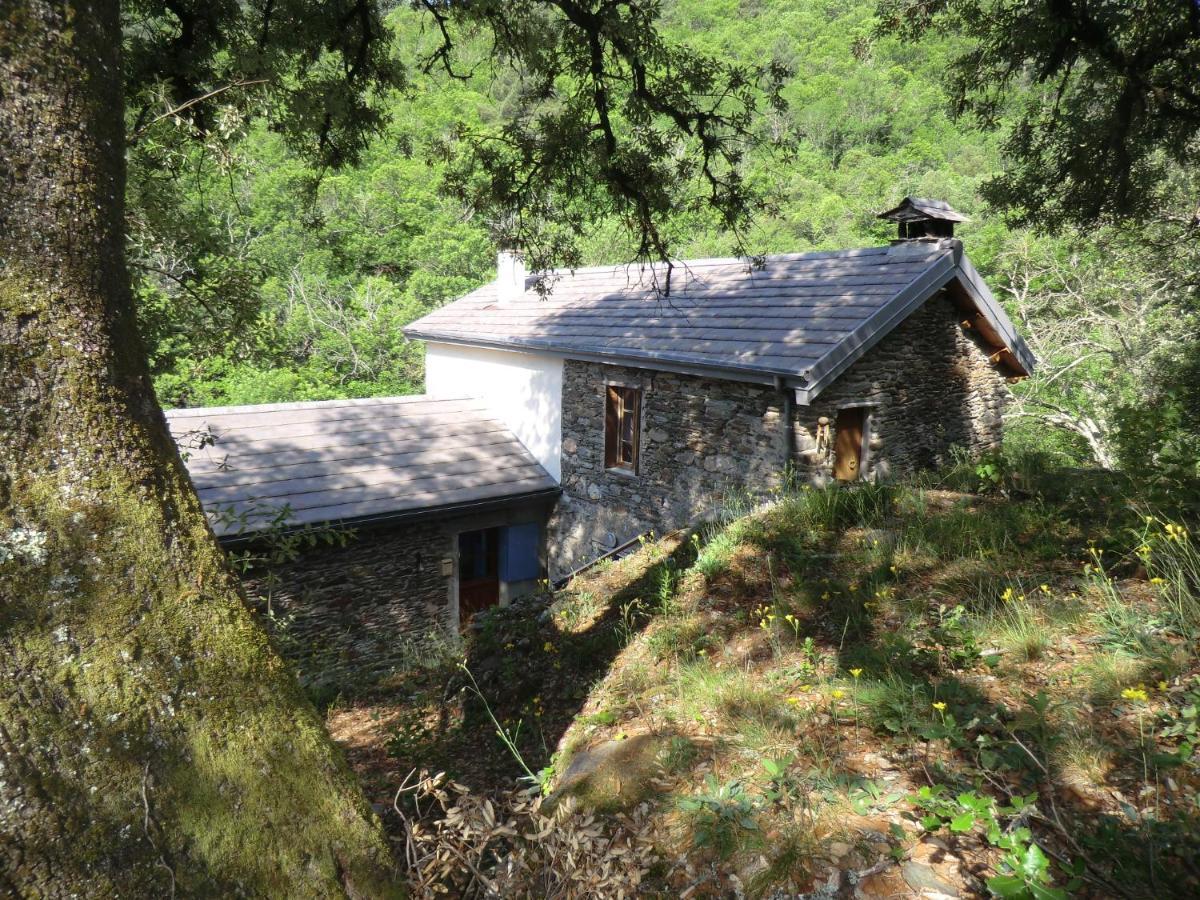 Transgardon B&B En Cevennes Saint-Privat-de-Vallongue Ngoại thất bức ảnh