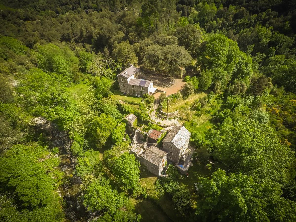 Transgardon B&B En Cevennes Saint-Privat-de-Vallongue Ngoại thất bức ảnh