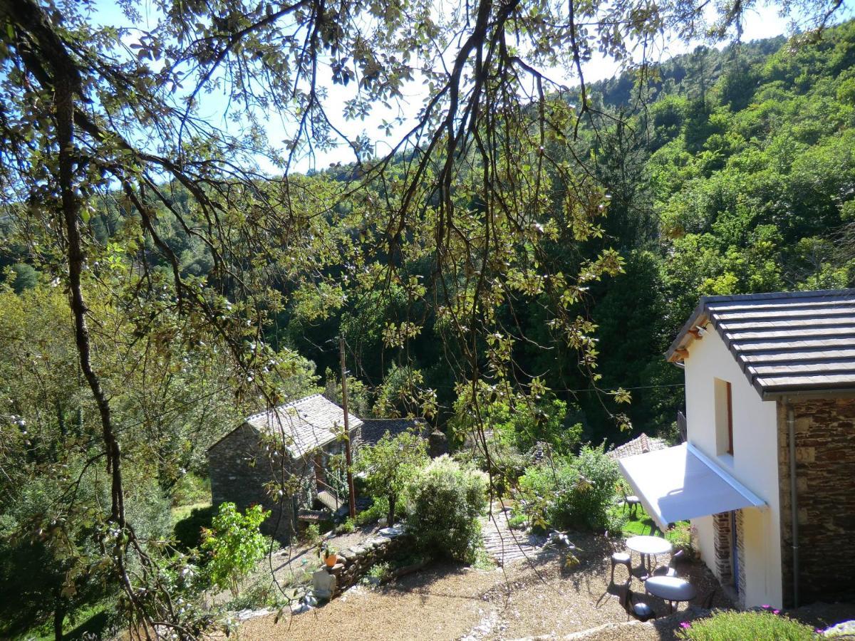 Transgardon B&B En Cevennes Saint-Privat-de-Vallongue Ngoại thất bức ảnh