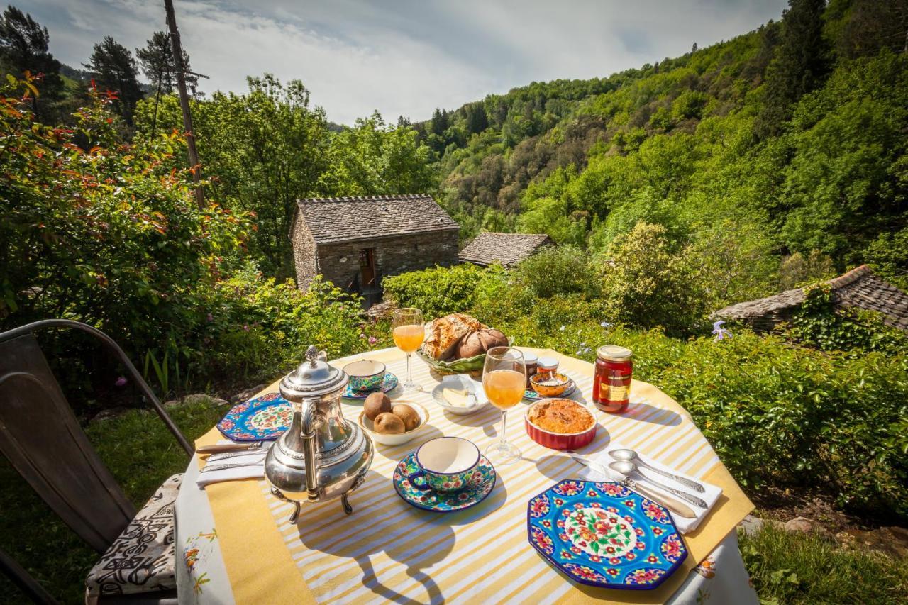 Transgardon B&B En Cevennes Saint-Privat-de-Vallongue Ngoại thất bức ảnh