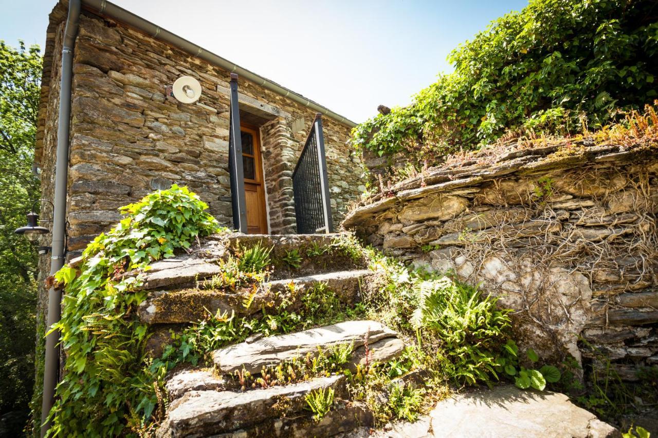 Transgardon B&B En Cevennes Saint-Privat-de-Vallongue Ngoại thất bức ảnh