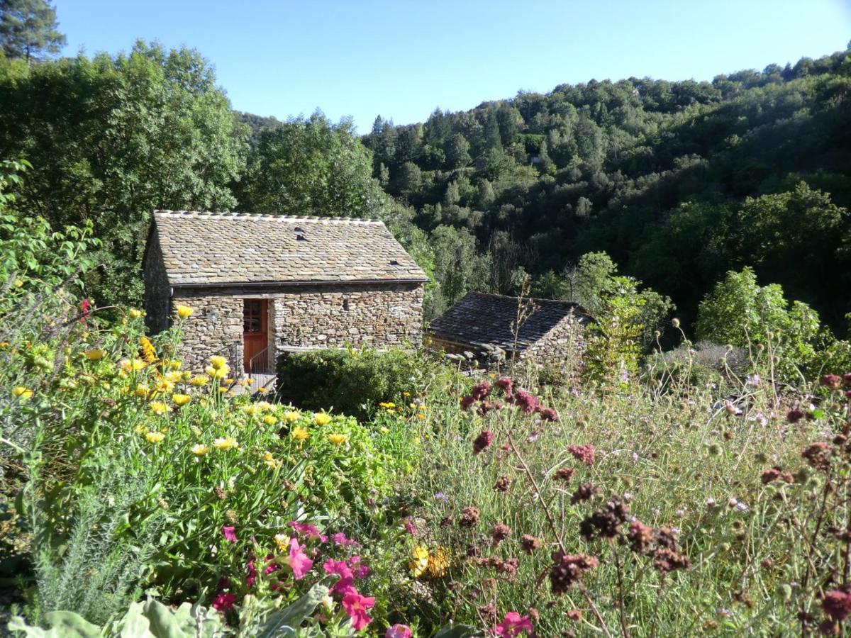 Transgardon B&B En Cevennes Saint-Privat-de-Vallongue Ngoại thất bức ảnh